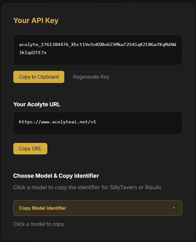 Acolyte AI dashboard with API key